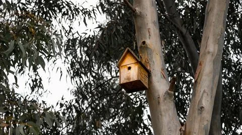 Birdhouse on a tree Foto stock