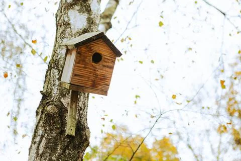 Birdhouse on the tree Stock Photos
