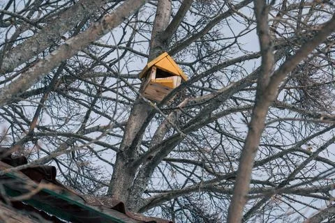 Birdhouse on a tree Stock Photos