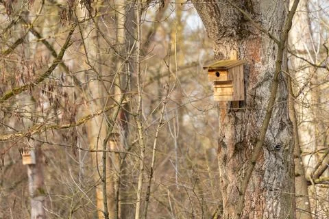 A birdhouse is on a tree 스톡 사진
