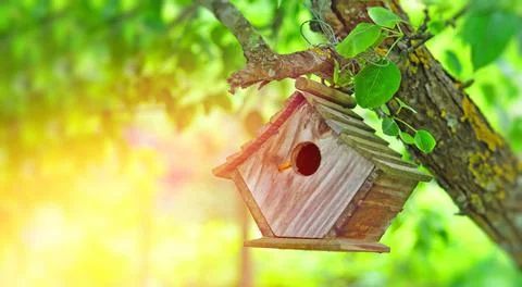 Birdhouse on a tree rays of the sun Foto stock