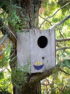 Birdhouse on a tree at springtime Stock Photos