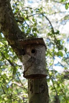 Birdhouse on a tree trunk Stock Photos