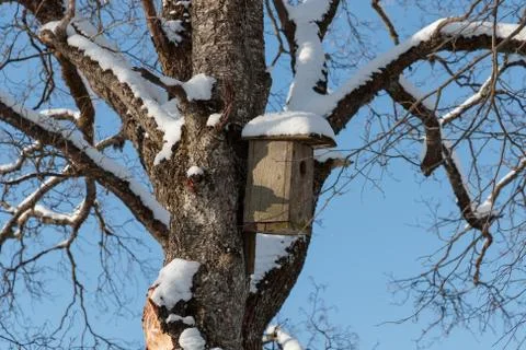 Birdhouse on a tree in winter Stock Photos