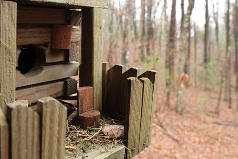 Birdhouse in the Trees Stock Photos