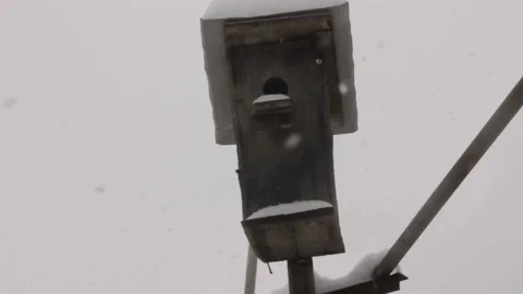 Birdhouse in winter Stock Footage 104717028