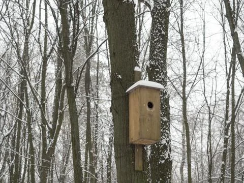 Birdhouse in winter Foto stock