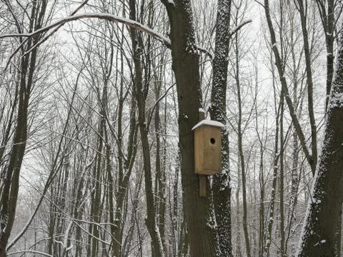 Birdhouse in winter Stock Photos