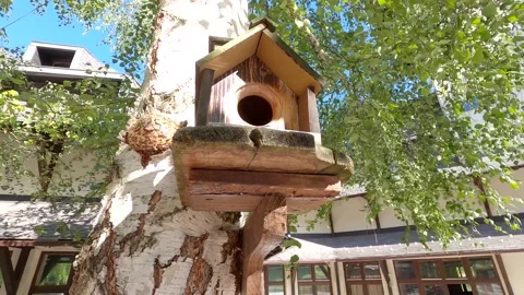 A Birdhouse In The Woods Stock Footage 142774898