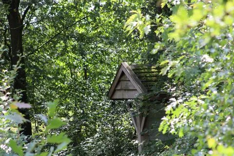 Birdhouse in woods Stock Photos