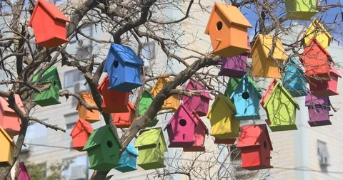 Birdhouses on a dry tree Stock Footage 104770171