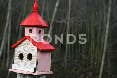 Birdhouses painted avian craft carpentry aspect Stock Photos