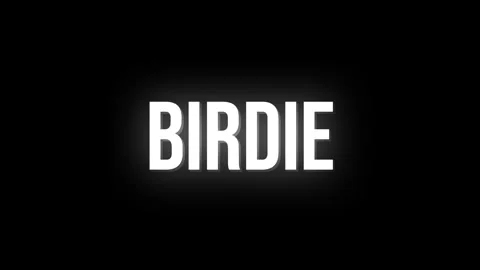Birdie Stock Footage 330526843