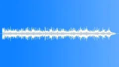 Birdland In Swamp 1Stock Music