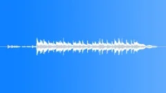 Birdland In Swamp 2 Stock Music