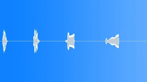 Bird,Loon Common Loon:Single Call X 4 Sound Effect