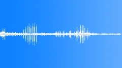 BIRD,MALLARD,DUCKSound Effect