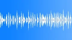 BIRD,MOCKINGBIRDSound Effect