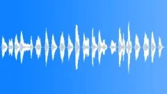BIRD,MOCKINGBIRDSound Effect