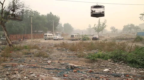 Birdnest next to Hutong destruction on a dusty day in Beijing, China Stock Footage