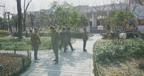 BirdPark Elderly Gathering During to admire birds During Epidemic outbreak Stock Footage 129366729