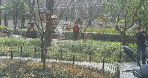 BirdPark Elderly Gathering During to admire birds During Epidemic outbreak Stock Footage 129417042