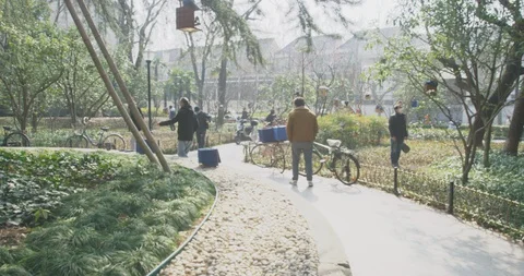 BirdPark Elderly Gathering During to admire birds During Epidemic outbreak Stock Footage 129668095