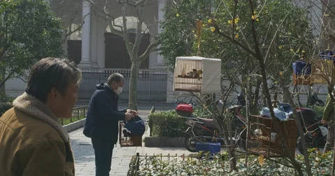 BirdPark Elderly Gathering During to admire birds During Epidemic outbreak Stock Footage 129820970