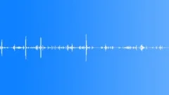 BIRD,PET,STORESound Effect