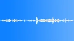 BIRD,PET,STORESound Effect