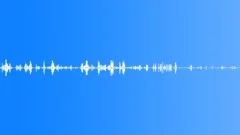 BIRD,PET,STORESound Effect