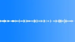BIRD,PET,STORESound Effect