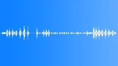 BIRD,PIGEONSound Effect