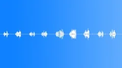 BIRD,ROBINSound Effect