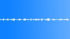 BIRD,ROBINSound Effect