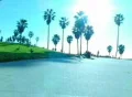Birds 9 Seagulls flying away in slow motion Web Footage