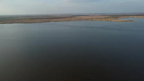Birds above the lake Stock Footage 258484584