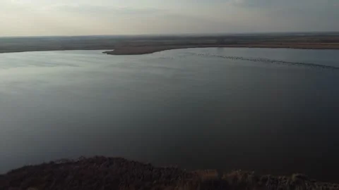 Birds above the lake Stock Footage 258484588