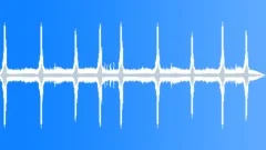BIRDS, AMAZON Sound Effect