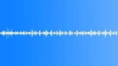 BIRDS, AMAZONSound Effect
