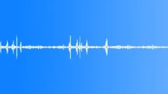 BIRDS, AMAZON Sound Effect