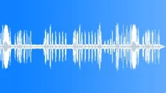 BIRDS, AMAZONSound Effect