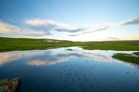 Birds and Clouds Reflect in Temporary Pool near Yellowstone River Foto stock