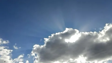 Birds and the cloudy blue sky Stock Footage 232200460