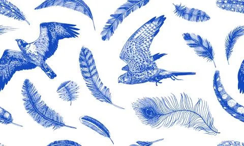 Birds and feathers seamless pattern. Common kestrel and osprey. Blue hand drawn Stock Illustration