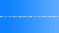 Birds and Frogs - ambient, backgroundSound Effect