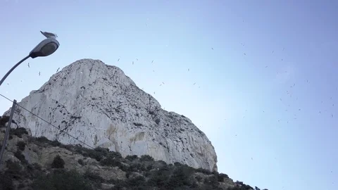 Birds and mountain Stock Footage 89649301
