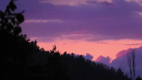 Birds and Sunset 動画素材 150473161