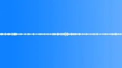 Birds and turtledoves loop Sound Effect