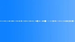 Birds and Wasps Sound Effect